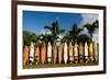 Surfboards Decoration in Garden, Huelo, Hawaii-Sergi Reboredo-Framed Photographic Print