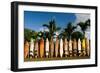 Surfboards Decoration in Garden, Huelo, Hawaii-Sergi Reboredo-Framed Photographic Print