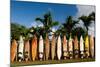 Surfboards Decoration in Garden, Huelo, Hawaii-Sergi Reboredo-Mounted Photographic Print