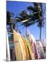 Surfboards, Grand Cul De Sac, St Bart's-Bill Bachmann-Mounted Photographic Print