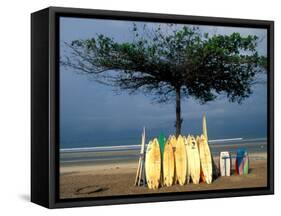 Surfboards Lean Against Lone Tree on Beach in Kuta, Bali, Indonesia-Paul Souders-Framed Stretched Canvas