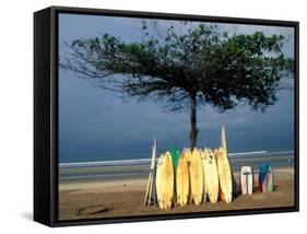 Surfboards Lean Against Lone Tree on Beach in Kuta, Bali, Indonesia-Paul Souders-Framed Stretched Canvas