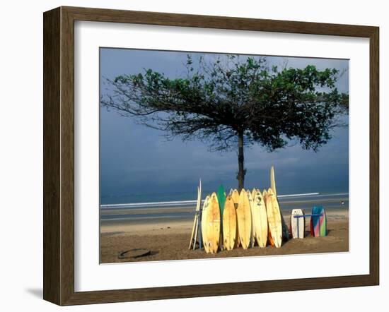 Surfboards Lean Against Lone Tree on Beach in Kuta, Bali, Indonesia-Paul Souders-Framed Premium Photographic Print