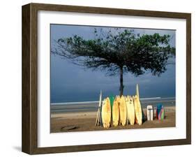 Surfboards Lean Against Lone Tree on Beach in Kuta, Bali, Indonesia-Paul Souders-Framed Premium Photographic Print