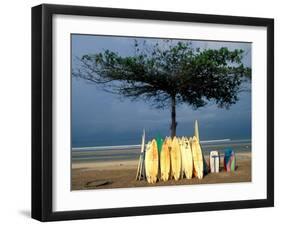 Surfboards Lean Against Lone Tree on Beach in Kuta, Bali, Indonesia-Paul Souders-Framed Premium Photographic Print