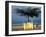 Surfboards Lean Against Lone Tree on Beach in Kuta, Bali, Indonesia-Paul Souders-Framed Premium Photographic Print