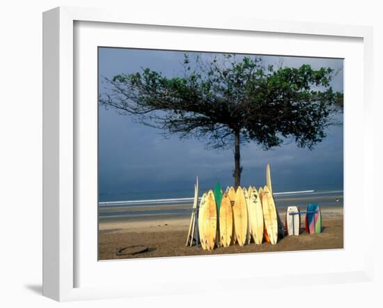 Surfboards Lean Against Lone Tree on Beach in Kuta, Bali, Indonesia-Paul Souders-Framed Premium Photographic Print