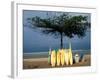 Surfboards Lean Against Lone Tree on Beach in Kuta, Bali, Indonesia-Paul Souders-Framed Photographic Print