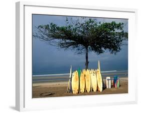 Surfboards Lean Against Lone Tree on Beach in Kuta, Bali, Indonesia-Paul Souders-Framed Photographic Print