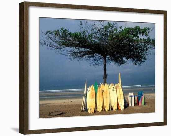Surfboards Lean Against Lone Tree on Beach in Kuta, Bali, Indonesia-Paul Souders-Framed Photographic Print