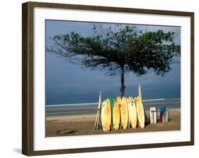 Surfboards Lean Against Lone Tree on Beach in Kuta, Bali, Indonesia-Paul Souders-Framed Photographic Print