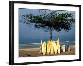 Surfboards Lean Against Lone Tree on Beach in Kuta, Bali, Indonesia-Paul Souders-Framed Photographic Print