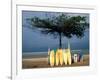 Surfboards Lean Against Lone Tree on Beach in Kuta, Bali, Indonesia-Paul Souders-Framed Photographic Print