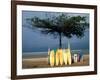 Surfboards Lean Against Lone Tree on Beach in Kuta, Bali, Indonesia-Paul Souders-Framed Photographic Print