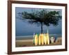 Surfboards Lean Against Lone Tree on Beach in Kuta, Bali, Indonesia-Paul Souders-Framed Photographic Print