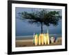 Surfboards Lean Against Lone Tree on Beach in Kuta, Bali, Indonesia-Paul Souders-Framed Photographic Print