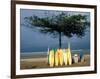 Surfboards Lean Against Lone Tree on Beach in Kuta, Bali, Indonesia-Paul Souders-Framed Photographic Print