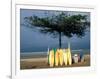 Surfboards Lean Against Lone Tree on Beach in Kuta, Bali, Indonesia-Paul Souders-Framed Photographic Print