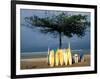 Surfboards Lean Against Lone Tree on Beach in Kuta, Bali, Indonesia-Paul Souders-Framed Photographic Print