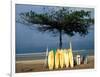 Surfboards Lean Against Lone Tree on Beach in Kuta, Bali, Indonesia-Paul Souders-Framed Photographic Print