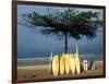 Surfboards Lean Against Lone Tree on Beach in Kuta, Bali, Indonesia-Paul Souders-Framed Photographic Print