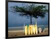 Surfboards Lean Against Lone Tree on Beach in Kuta, Bali, Indonesia-Paul Souders-Framed Photographic Print