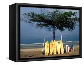 Surfboards Lean Against Lone Tree on Beach in Kuta, Bali, Indonesia-Paul Souders-Framed Stretched Canvas