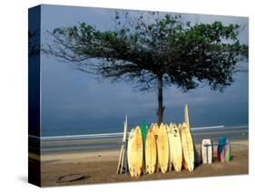 Surfboards Lean Against Lone Tree on Beach in Kuta, Bali, Indonesia-Paul Souders-Stretched Canvas