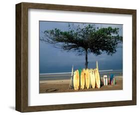 Surfboards Lean Against Lone Tree on Beach in Kuta, Bali, Indonesia-Paul Souders-Framed Photographic Print