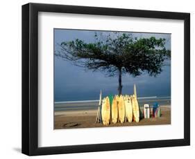 Surfboards Lean Against Lone Tree on Beach in Kuta, Bali, Indonesia-Paul Souders-Framed Photographic Print