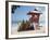 Surfboards Stacked Waiting for Hire at Kuta Beach on the Island of Bali, Indonesia, Southeast Asia-Harding Robert-Framed Photographic Print