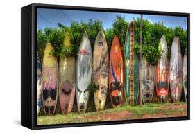 Surfboards-Robert Kaler-Framed Stretched Canvas