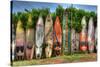Surfboards-Robert Kaler-Stretched Canvas