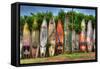 Surfboards-Robert Kaler-Framed Stretched Canvas