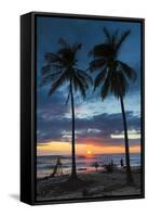 Surfer and Palm Trees at Sunset on Playa Guiones Surf Beach at Sunset-Rob Francis-Framed Stretched Canvas