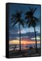 Surfer and Palm Trees at Sunset on Playa Guiones Surf Beach at Sunset-Rob Francis-Framed Stretched Canvas