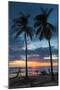 Surfer and Palm Trees at Sunset on Playa Guiones Surf Beach at Sunset-Rob Francis-Mounted Photographic Print