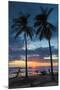 Surfer and Palm Trees at Sunset on Playa Guiones Surf Beach at Sunset-Rob Francis-Mounted Photographic Print