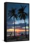 Surfer and Palm Trees at Sunset on Playa Guiones Surf Beach at Sunset-Rob Francis-Framed Stretched Canvas