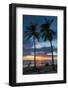 Surfer and Palm Trees at Sunset on Playa Guiones Surf Beach at Sunset-Rob Francis-Framed Photographic Print