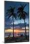 Surfer and Palm Trees at Sunset on Playa Guiones Surf Beach at Sunset-Rob Francis-Mounted Photographic Print