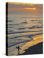 Surfer at Blackhead Beach, South of Dunedin, South Island, New Zealand-David Wall-Stretched Canvas