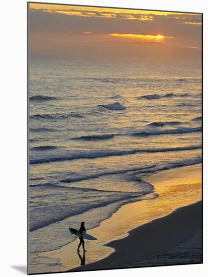 Surfer at Blackhead Beach, South of Dunedin, South Island, New Zealand-David Wall-Mounted Premium Photographic Print