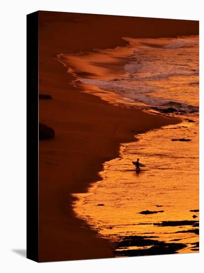 Surfer at Dawn, Gibson's Beach, Twelve Apostles, Port Campbell National Park, Victoria, Australia-David Wall-Stretched Canvas