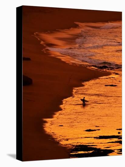 Surfer at Dawn, Gibson's Beach, Twelve Apostles, Port Campbell National Park, Victoria, Australia-David Wall-Stretched Canvas