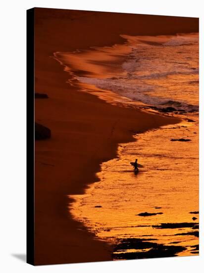 Surfer at Dawn, Gibson's Beach, Twelve Apostles, Port Campbell National Park, Victoria, Australia-David Wall-Stretched Canvas