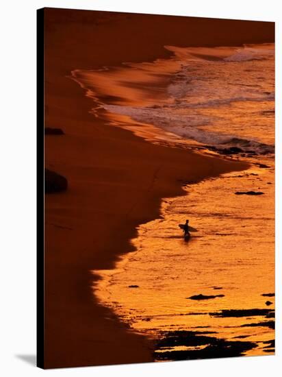 Surfer at Dawn, Gibson's Beach, Twelve Apostles, Port Campbell National Park, Victoria, Australia-David Wall-Stretched Canvas