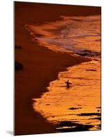 Surfer at Dawn, Gibson's Beach, Twelve Apostles, Port Campbell National Park, Victoria, Australia-David Wall-Mounted Photographic Print