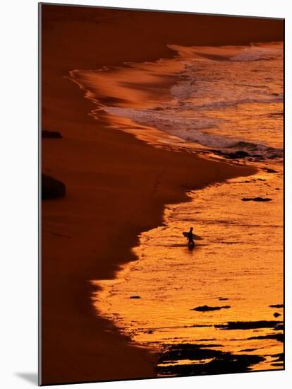 Surfer at Dawn, Gibson's Beach, Twelve Apostles, Port Campbell National Park, Victoria, Australia-David Wall-Mounted Photographic Print
