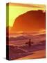 Surfer at Sunset, St Kilda Beach, Dunedin, New Zealand-David Wall-Stretched Canvas